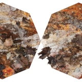  Victoria Kovalenchikova, The Leaves (diptych), 2009, mixed media oil on canvas, 80x80cm (each part)
