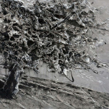  Victoria Kovalenchikova, Day and Night, (right part), 2012, mixed media, oil on canvas, 100x150cm
