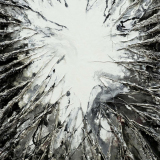  Victoria Kovalenchikova, Heart of Darkness, 2012, mixed media, oil on canvas, 205x125 cm
